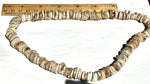 Antique Shell Trade Bead Strand – Silk Cord Likely Late 1800s or Earlier Ethnographic Ritual Ceremonial Artifact 19 inch Av Bead up to 12mm