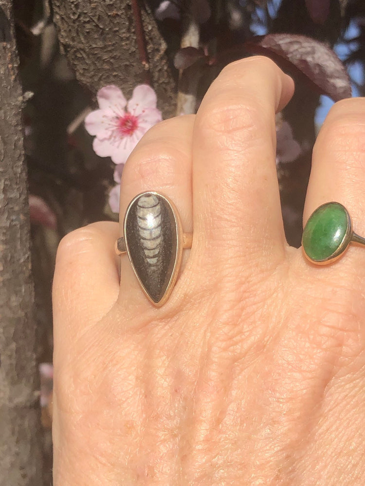 Beautiful fossil black and white ring sterling silver size 6.25 orthoceras tear drop beautiful specimen