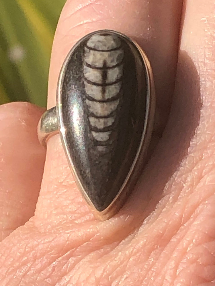 Beautiful fossil black and white ring sterling silver size 6.25 orthoceras tear drop beautiful specimen