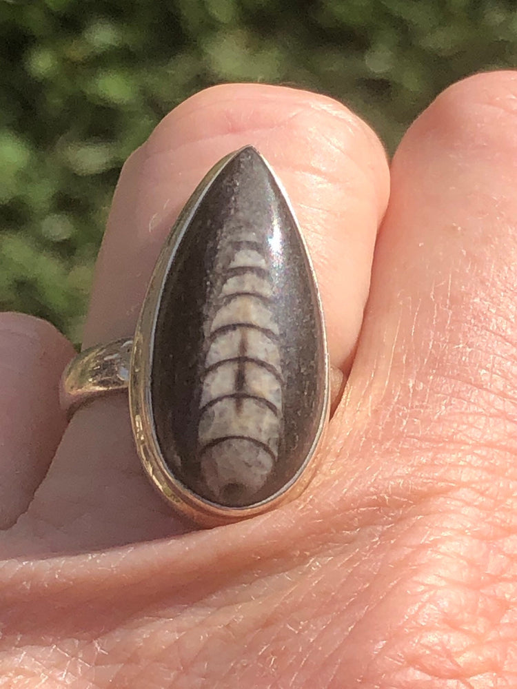 Beautiful fossil black and white ring sterling silver size 6.25 orthoceras tear drop beautiful specimen